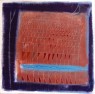 IL CANTO DELLA VIGNA 2016 tecnica mista su tela 80x80 cm