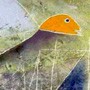 DINO FORMAGGIO, testo del libro “ DODICI FAVOLE DI ESOPO INTERPRETATE DA ANNA CASERr” edito da stamperia valdonega 100 esemplari numerati e firmati